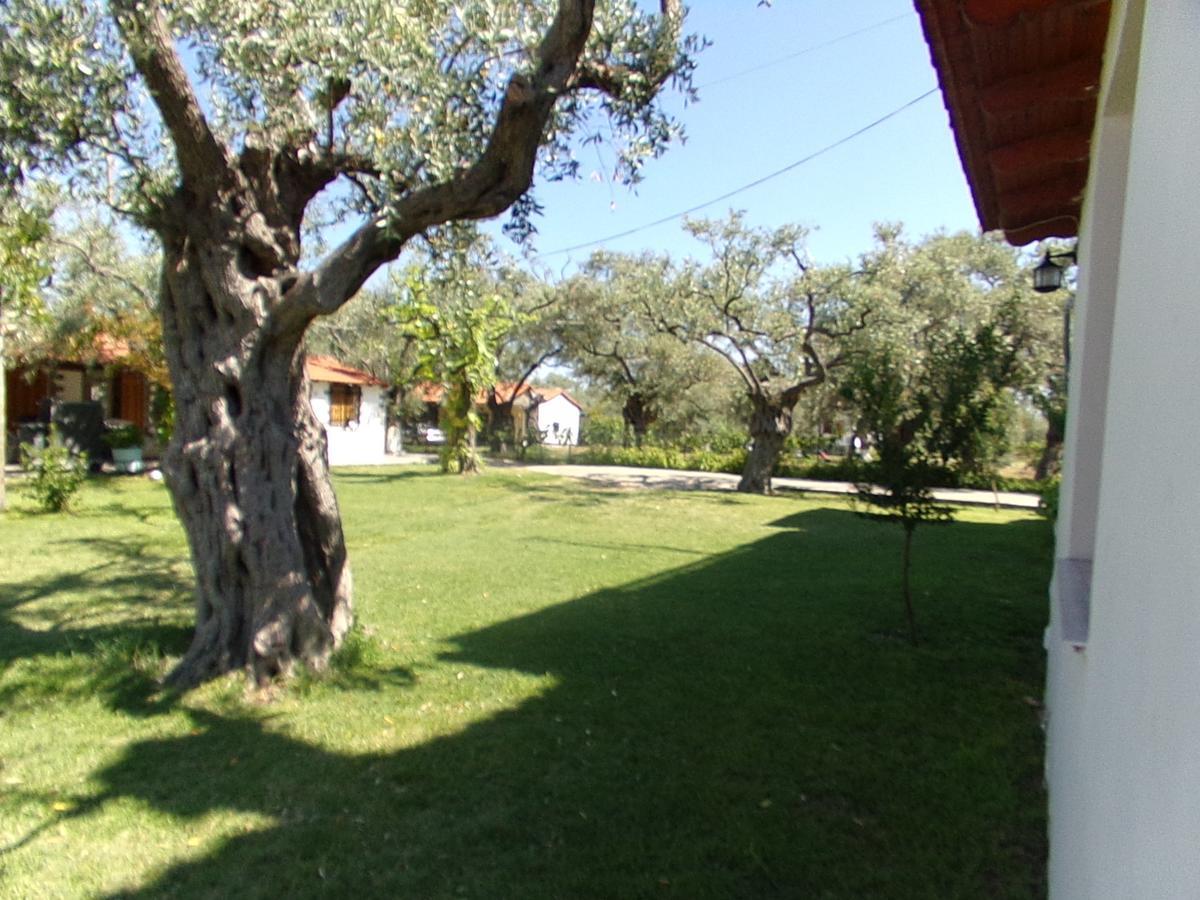 Villa Karapataki Skala Rachoni  الغرفة الصورة