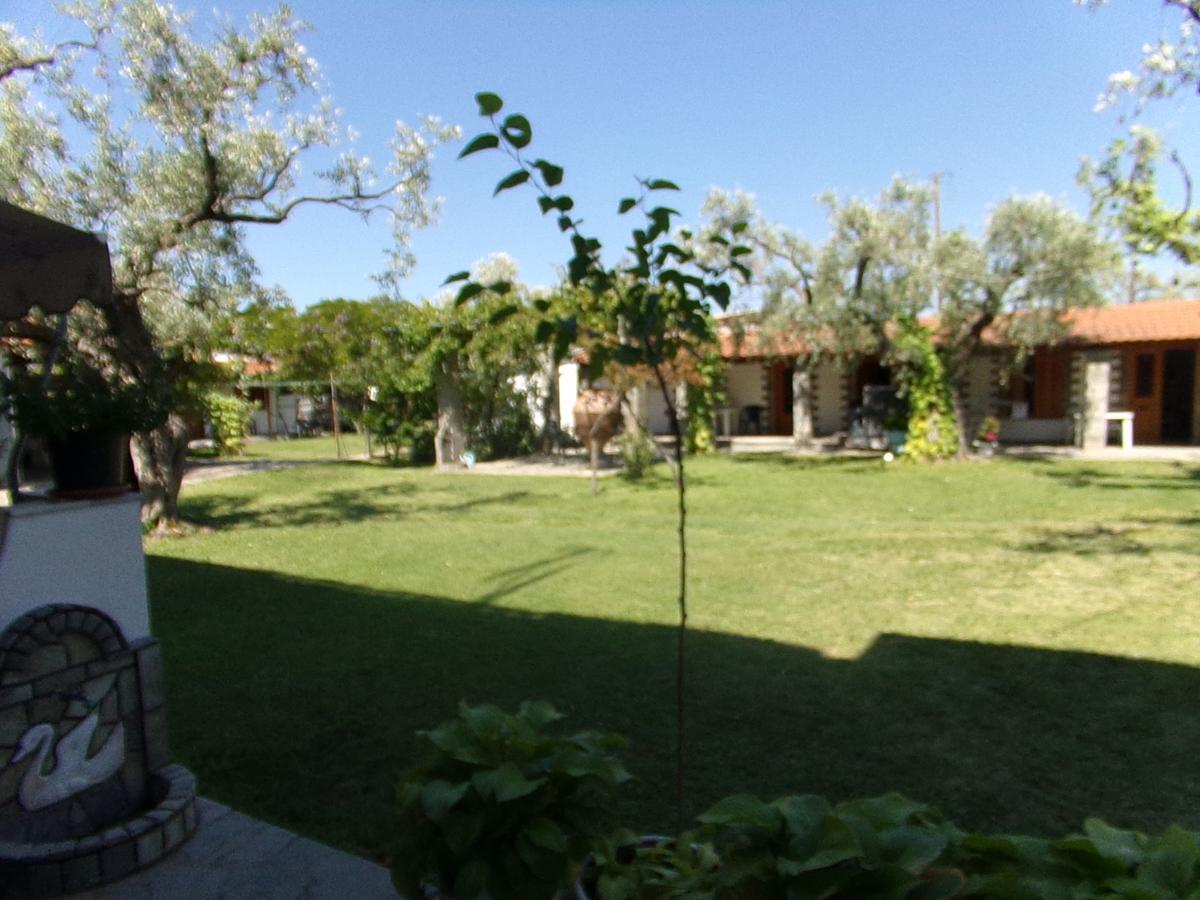 Villa Karapataki Skala Rachoni  الغرفة الصورة